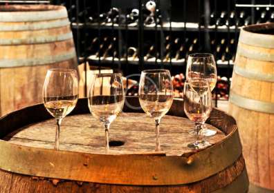 Mas Olivier Séléction 2015