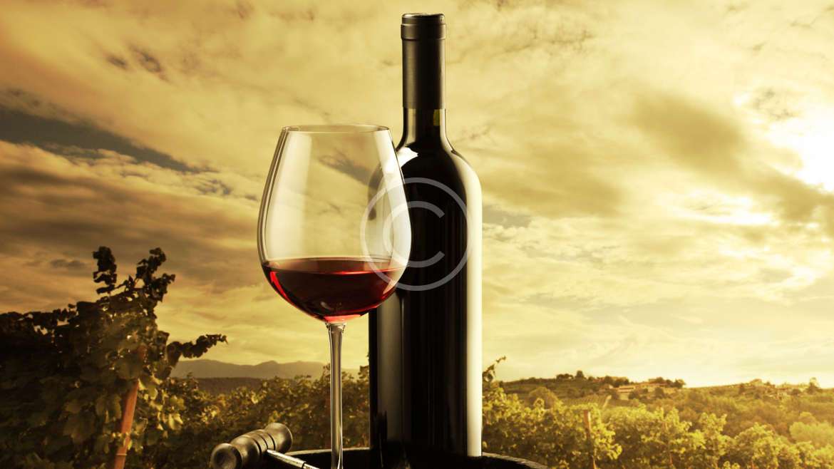 Mas Olivier Expression 2018 