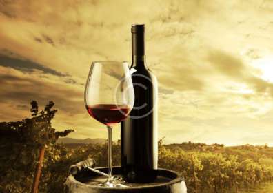 Mas Olivier Expression 2018 