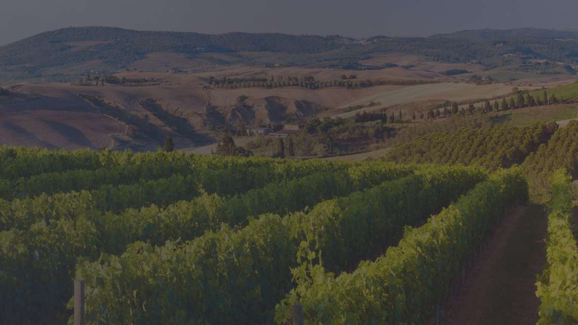 Clos Bagatelle Donnadieu 2016