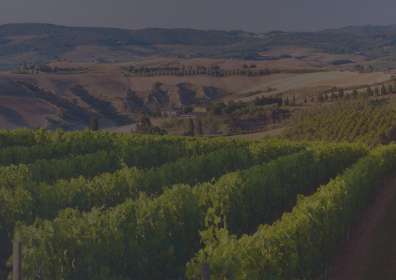 Clos Bagatelle Donnadieu 2016